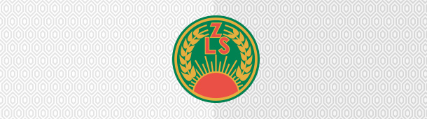 Logo LZS