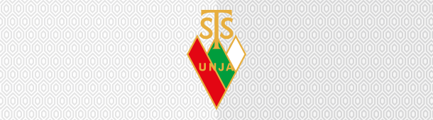 Zagłębie Sosnowiec logo klubu